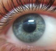 Wimpernserum Test: Wundermittel für Traumwimpern