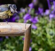 Gartengestaltung – die besten Ideen und Tipps