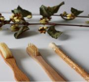 Nachhaltige Zahnbürsten - Worauf achten