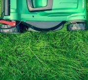 Rasenpflege mit Rasenmäher, Mähroboter, Vertikutierer