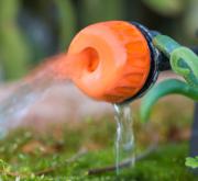 Clevere Bewässerungslösungen & pflegeleichte Pflanzen