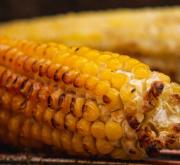 Lust auf Grillen Aber bitte umweltfreundlich!