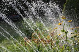 Nahaufnahme Rasensprenger sprengt Blumenwiese