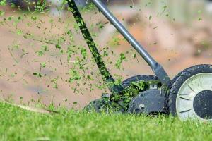 Spindelmäher im Einsatz