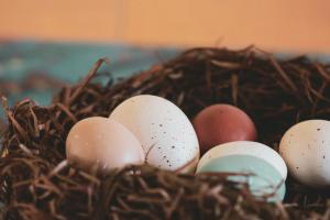 Ostereier in einem Nest