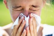 Luftreiniger für Allergiker: Welche filtern Pollen