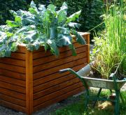 Hochbeete selber bauen – für Garten & Balkon